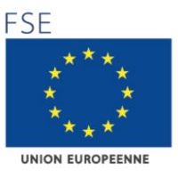 FSE ( Fonds social européen )